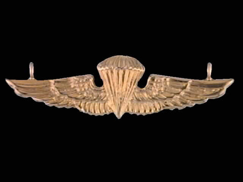 14kt Jump Wing Pendant
